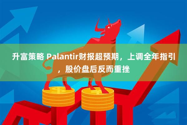 升富策略 Palantir财报超预期，上调全年指引，股价盘后反而重挫